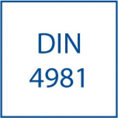 DIN 4981