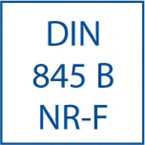 DIN 845 B NR F